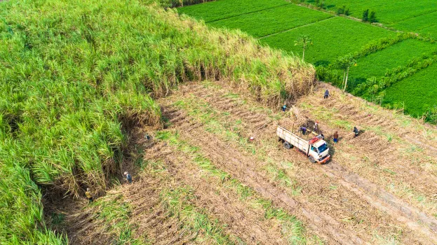 Agriculture_field_harvest