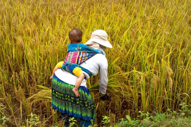 woman_working_on_field_whilst_carrying_infant_WEB