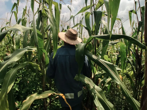 Farmer-mexico-horizontal