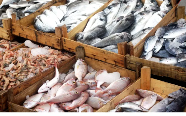 Fish-market-scaled