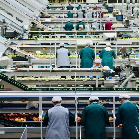 A group of workers in a factory