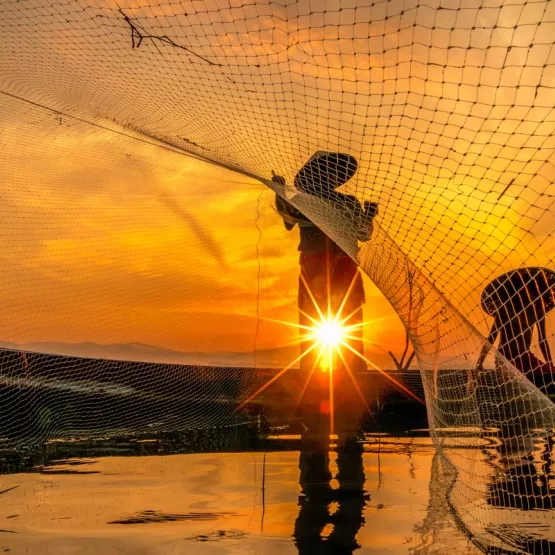 Image of two fishermen on a boat casting a net over the sea