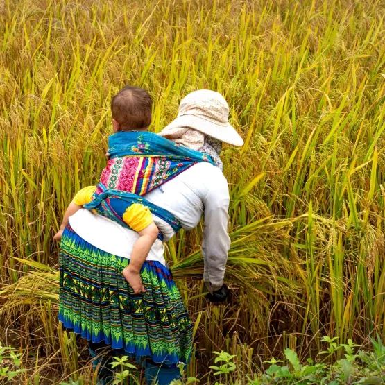 woman_working_on_field_whilst_carrying_infant_WEB