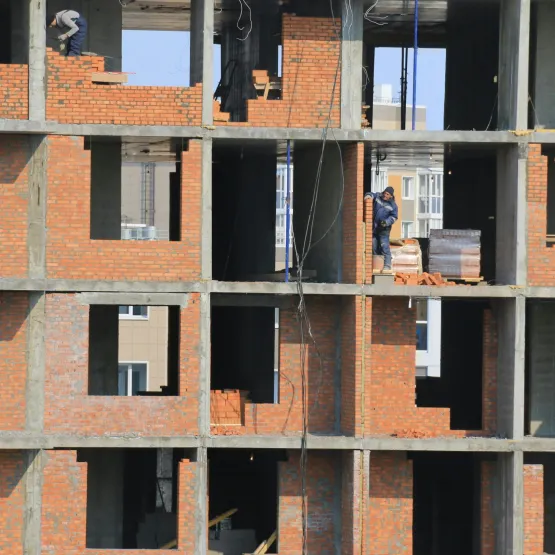 building_house_bricks_workers