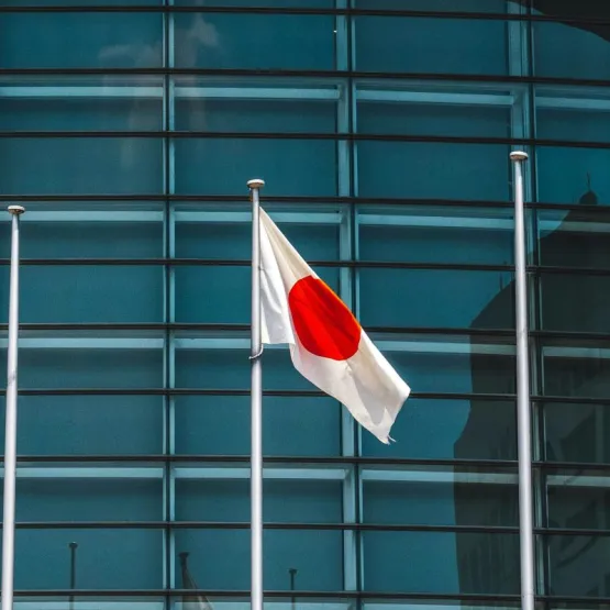 Japanese flag in front of building