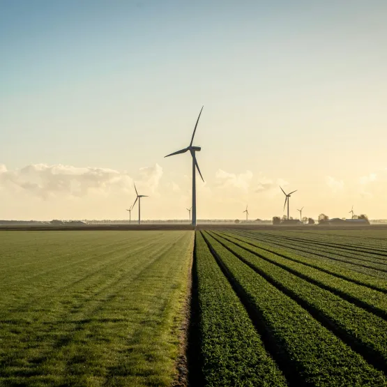 wind_turbine_farm_energy