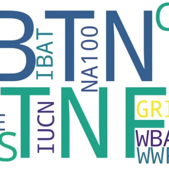 nautre-alphabet-soup