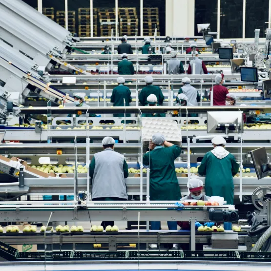 Workers inside an apple processing factory in northern Italy