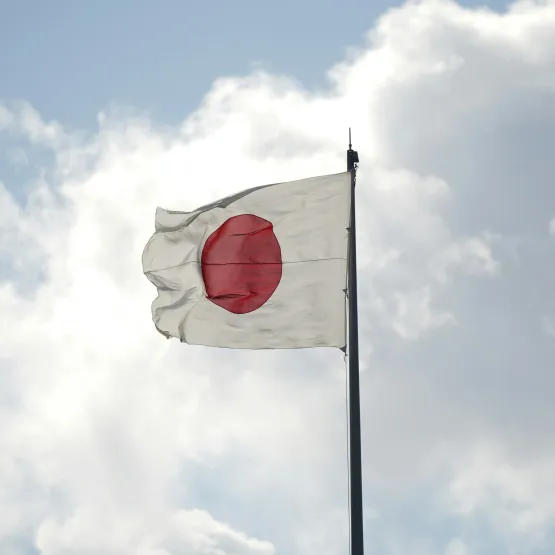 A picture of the national flag of Japan taken by Hayashi Kanna.
