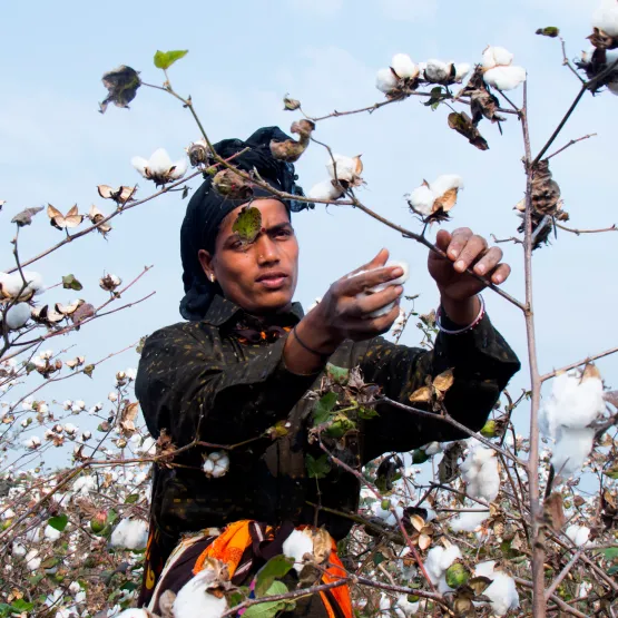 woman working 