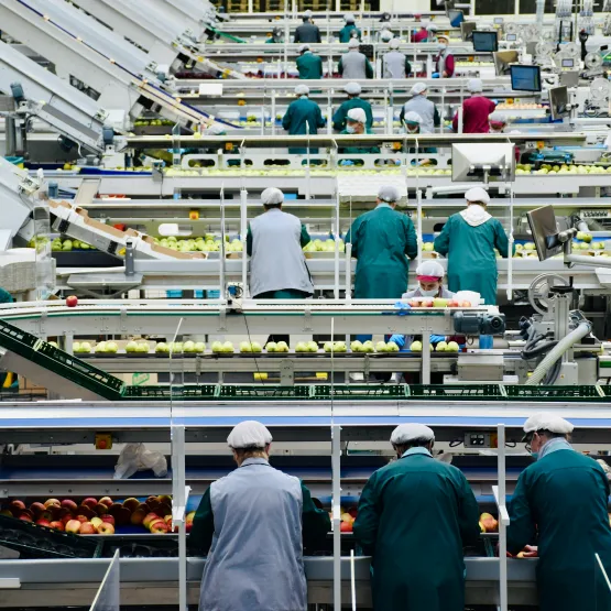 Workers inside an apple processing factory in northern Italy