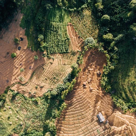nature-benchmark-2022-deforestation-desertification