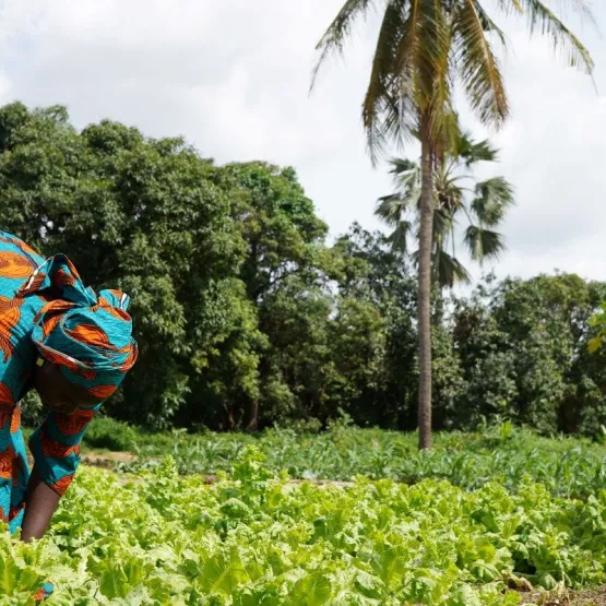 Two female farmers working on a farm