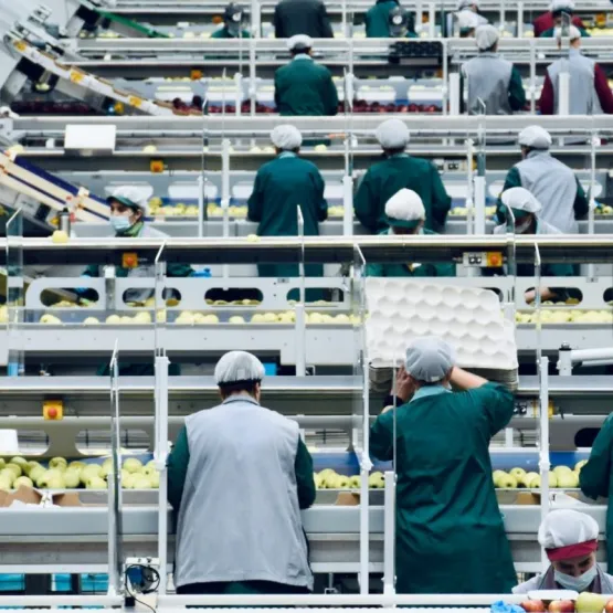 Workers in a food factory