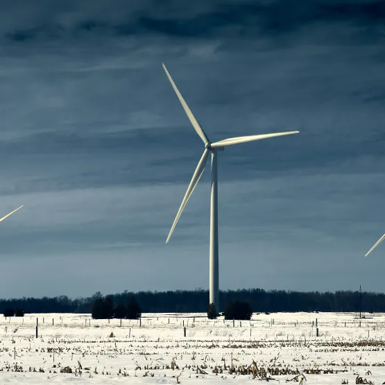 Wind turbines in Canadian landscape