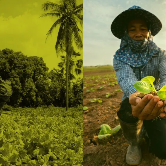 Access-to-Seeds-Index-two-farmers