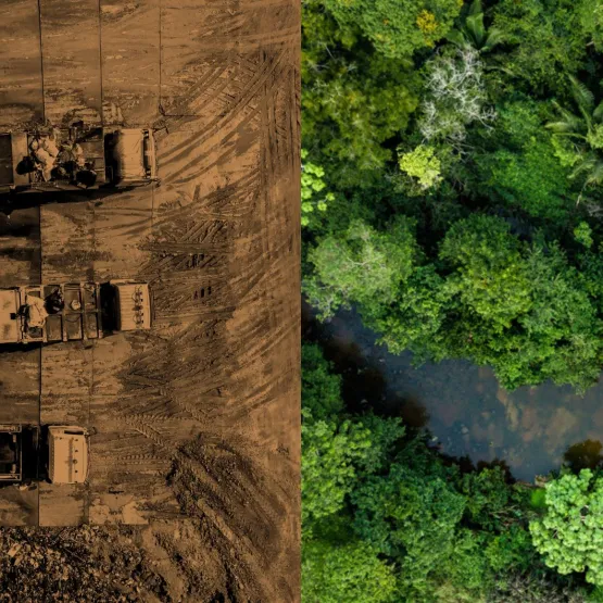 Nature-website-headers