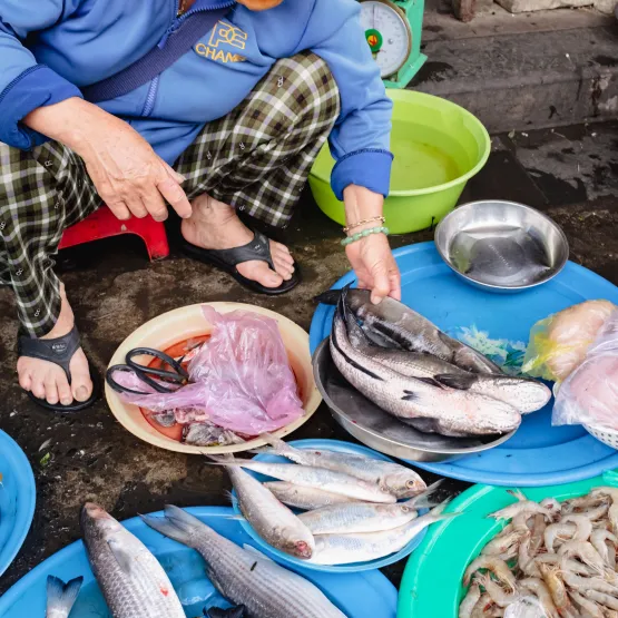 seafood_plates