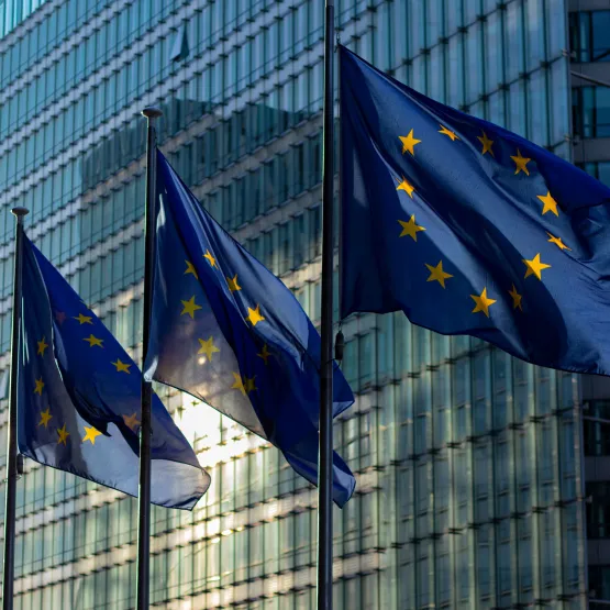 eu-flags-business-building