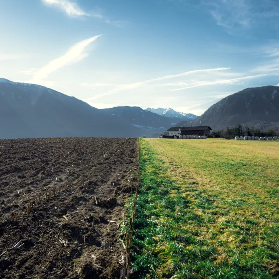 agriculture-fields