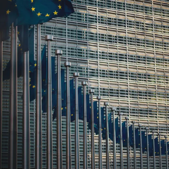  Flags of the member states of the European Union in front of the EU-commission building "Berlaymont" in Brussels, Belgium