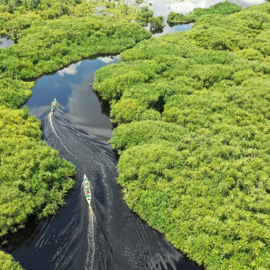 River green landscape indonesia