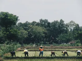 people working on the field