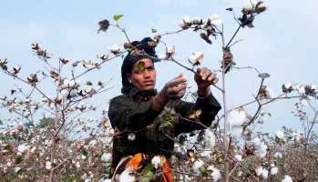 woman working 