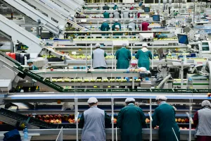Workers inside an apple processing factory in northern Italy