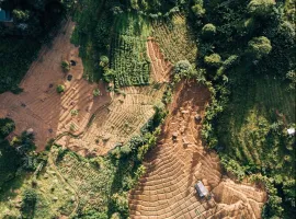 nature-benchmark-2022-deforestation-desertification