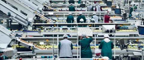 Workers in a food factory