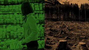 food-and-agriculture-supermarket-deforestation