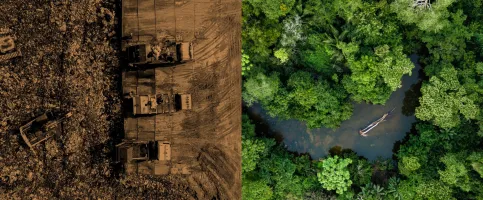 Nature-website-headers
