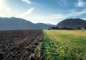 agriculture-fields