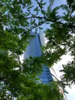 building-foliage-green-financial-district