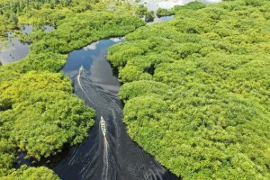 River green landscape indonesia