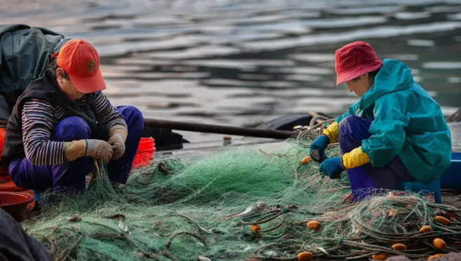 two-fish-workers-and-nets-scaled