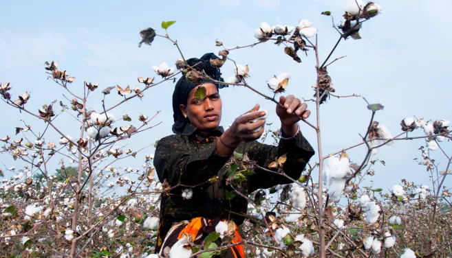 woman working 
