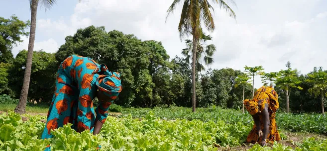 Two female farmers working on a farm