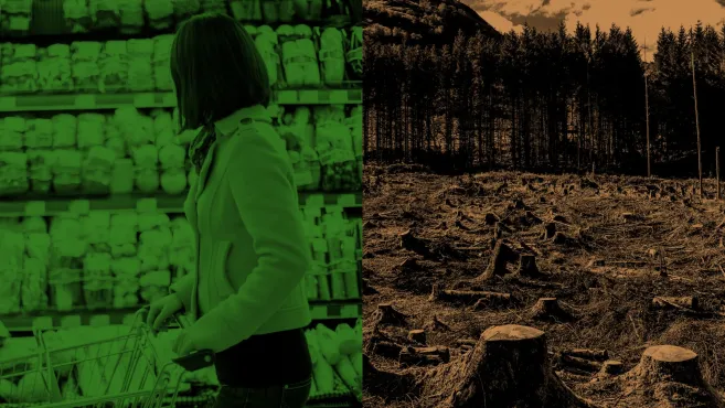 food-and-agriculture-supermarket-deforestation