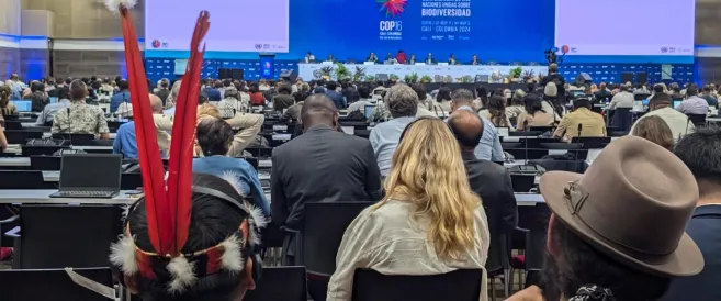 Cross section of participants at COP16