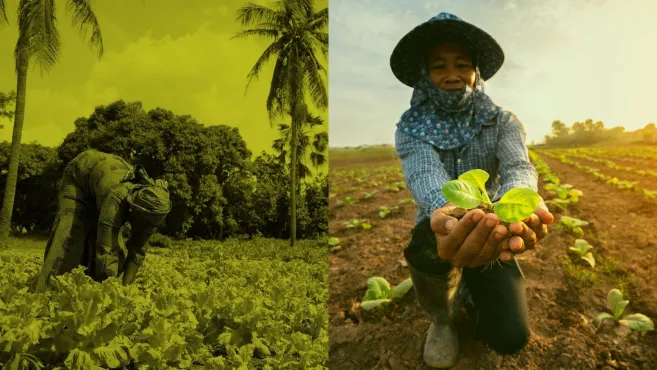Access-to-Seeds-Index-two-farmers