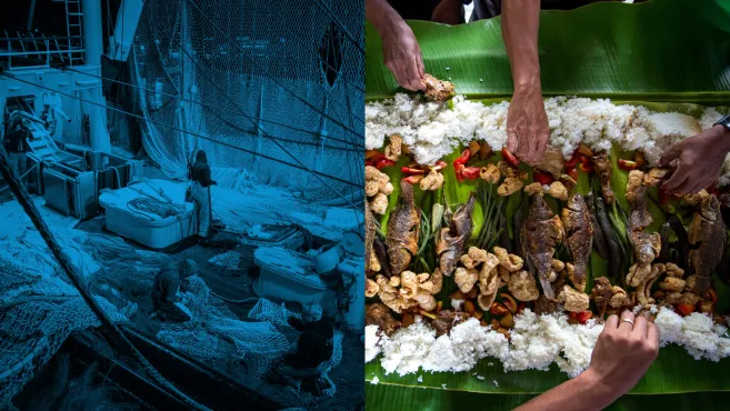 Fishermen-working-and-people-eating-fish-together