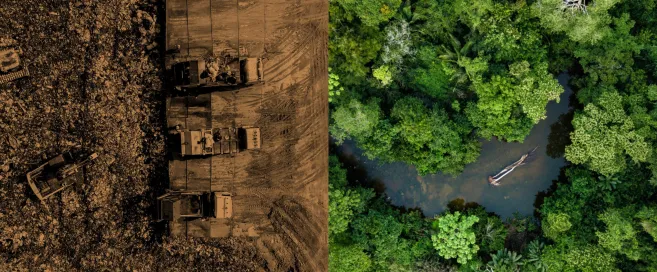 Nature-website-headers