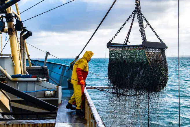 man_supervising_fishnet_on_boat_low