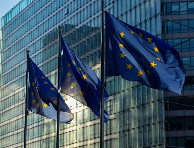 eu-flags-business-building