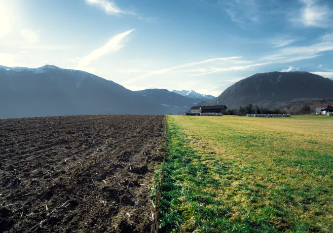 agriculture-fields