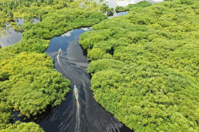 River green landscape indonesia