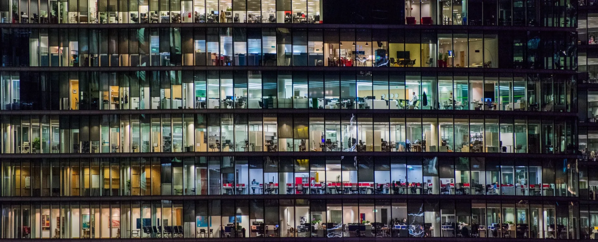 Company_windows_office_building_night