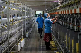 women_factory_workers_machinery_sewing